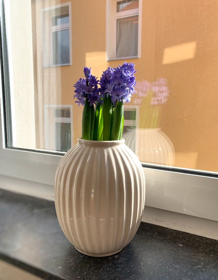 Vasen weiß und beige in Bielefeld