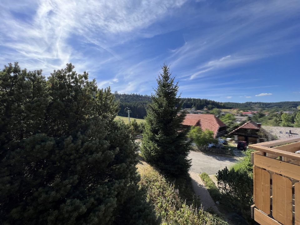 Großzügige Wohnung mit Balkon in ruhiger Randlage in Herrischried