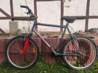 Mountainbike Merida Yankees 26" XL Rahmen Niedersachsen - Hornburg Vorschau