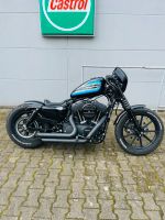 Harley Sportster XL 1200 Iron 5HD Nordrhein-Westfalen - Recklinghausen Vorschau