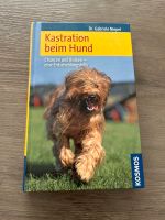 Buch „Kastration beim Hund“, neuwertiger Zustand Nordrhein-Westfalen - Solingen Vorschau