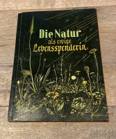 Die Natur als ewige Lebensspenderin von 1951 Buch Nordrhein-Westfalen - Solingen Vorschau
