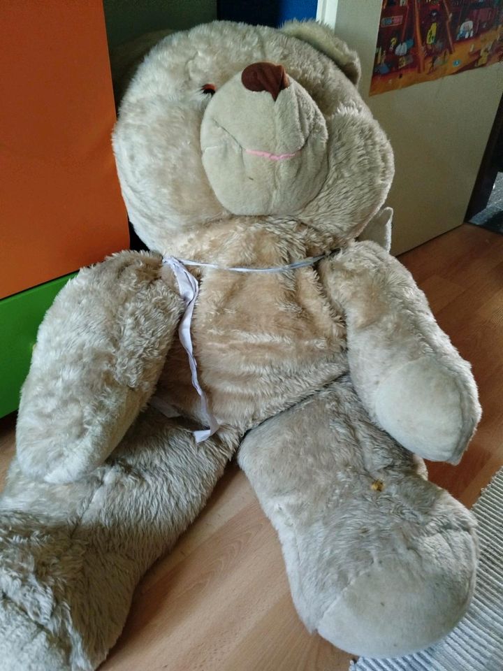 Großer Teddy Bär in Wolfenbüttel