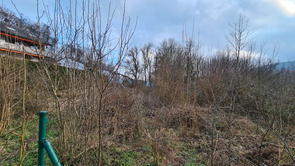 Grundstück in herrlicher Hanglage in Leopoldstal in Horn-Bad Meinberg