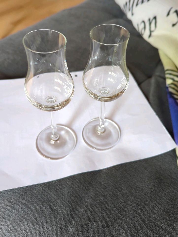 2 Leonardo Aperitif Grappa Gläser zusammen für in Püttlingen