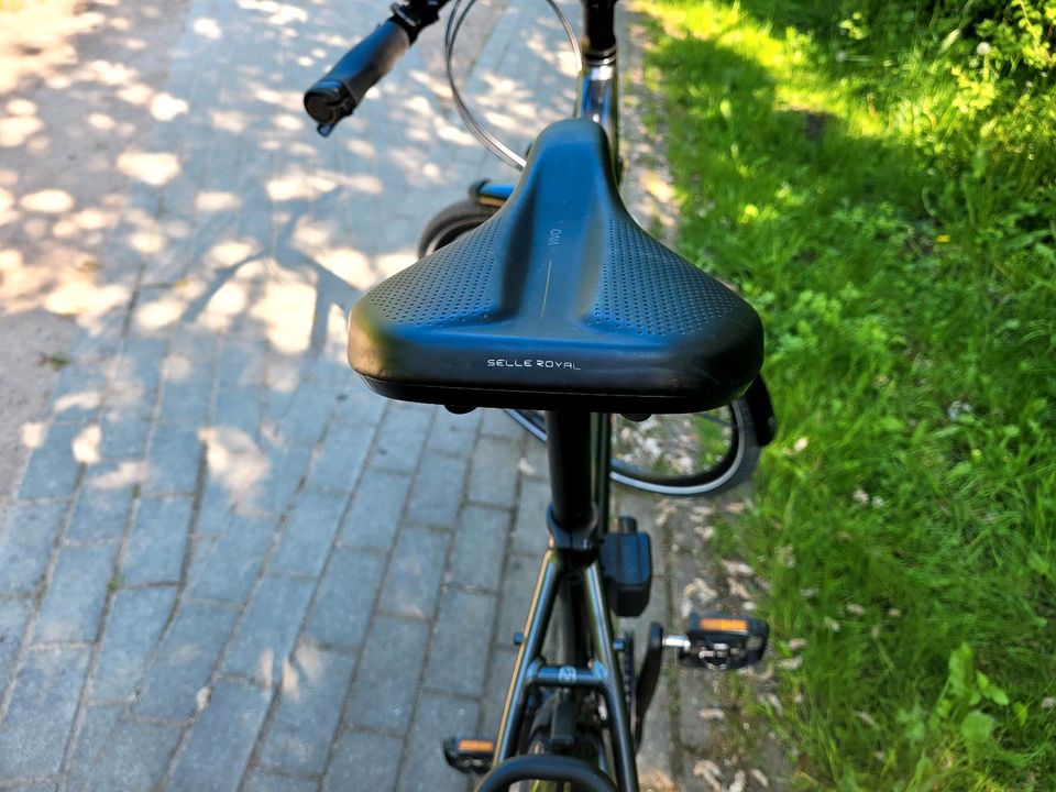 Diamant Elan Super Deluxe Citybike, Gravelbike, Trackingbike in Norderstedt