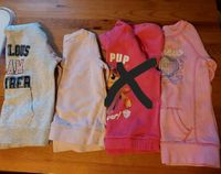 Pullover Hoodie mädchen  110/116  H&M Set Nordrhein-Westfalen - Mönchengladbach Vorschau