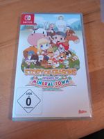 Story of Seasons, Friends of Mineral Town (Nintendo Switch) Rheinland-Pfalz - Odernheim am Glan Vorschau