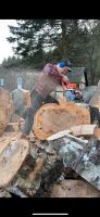 Dienstleistungen im Holzbereich und der Grünflächenpflege Sachsen - Hainewalde Vorschau