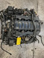 N62B48 Komplettmotor für BMW 5, 7, X5 series Nordrhein-Westfalen - Gronau (Westfalen) Vorschau