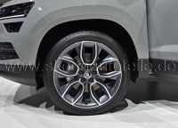 4x Leichtmetallfelge CRATER 19" - original - SKODA KAROQ /1350€* Bayern - Würzburg Vorschau