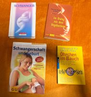 Buch Baby Schwangerschaft Ungeboren Öhrchen im Bauch Ausstattung Thüringen - Jena Vorschau