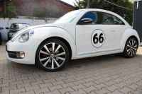 Volkswagen Beetle Lim. Sport Aubing-Lochhausen-Langwied - Aubing Vorschau