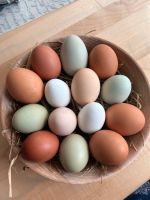 Bunt gemischte frische Eier von glücklichen Hühnern Bayern - Nördlingen Vorschau