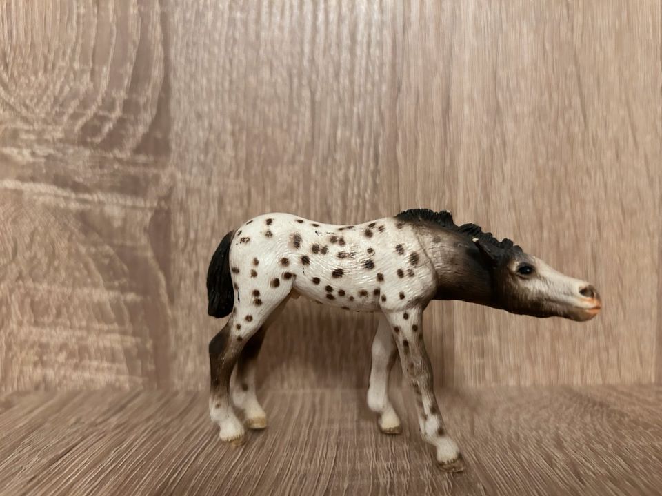 Schleich Pferde in Rudersberg