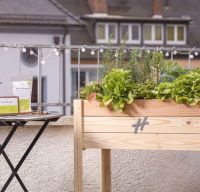 Hochbeet für Balkon / Garten OVP Eimsbüttel - Hamburg Eimsbüttel (Stadtteil) Vorschau