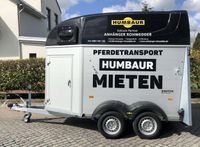 ⚠️ Pferdeanhänger mieten / Verleih m.Sattelkammer u. Fohlengitter Dithmarschen - Marne Vorschau