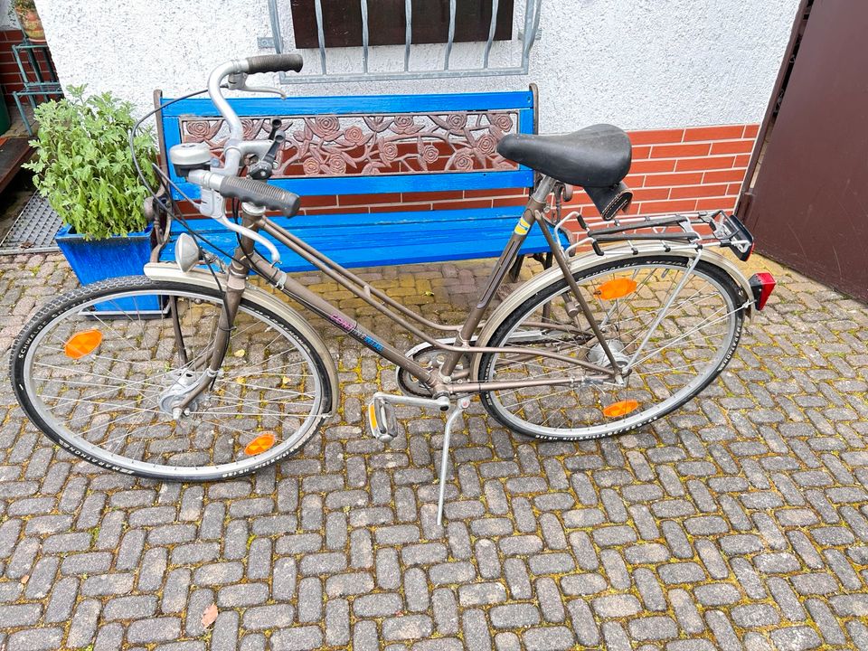 Damen Fahrrad in Altenstadt