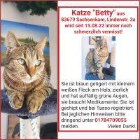 Katze vermisst !!! Bayern - Sachsenkam Vorschau