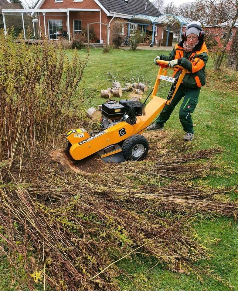 Gartenpflege dauerhaft ,  Gartenarbeiten,  Pflanzungen,  Planung in Glienicke/Nordbahn