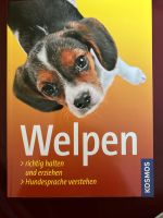 Buch Welpen richtig halten und erziehen von Kosmos Nordrhein-Westfalen - Willich Vorschau