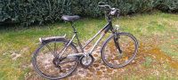 Fahrrad Pegasus Premio SL 28 Zoll Hessen - Niestetal Vorschau