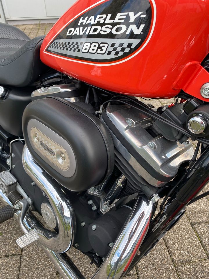 Harley Davidson Sportster XL 883 R in Winnenden