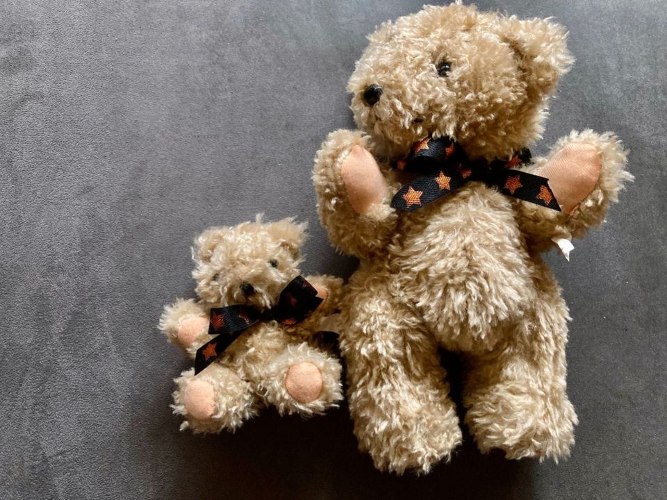 2 süße Teddybären - Mama mit Kind - suchen neues Zuhause in Würzburg