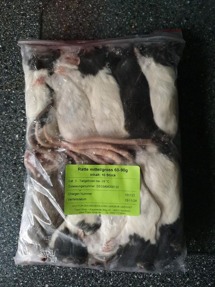 Frostfutter Ratten mittel / groß 60-90 gramm in Osterholz-Scharmbeck