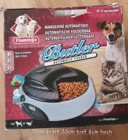 Futterautomat für Katzen / kleine Hunde Thüringen - Erfurt Vorschau