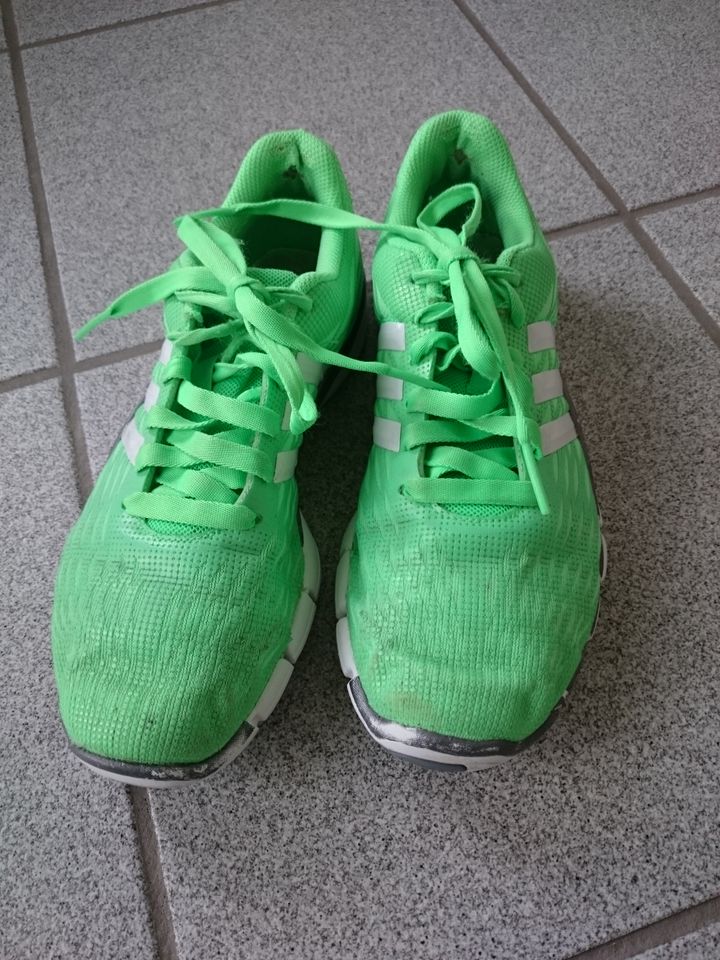 Adidas Hallensportschuhe in Sarstedt