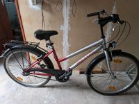 Pegasus Fahrrad 26 Zoll Damen Nordrhein-Westfalen - Mülheim (Ruhr) Vorschau