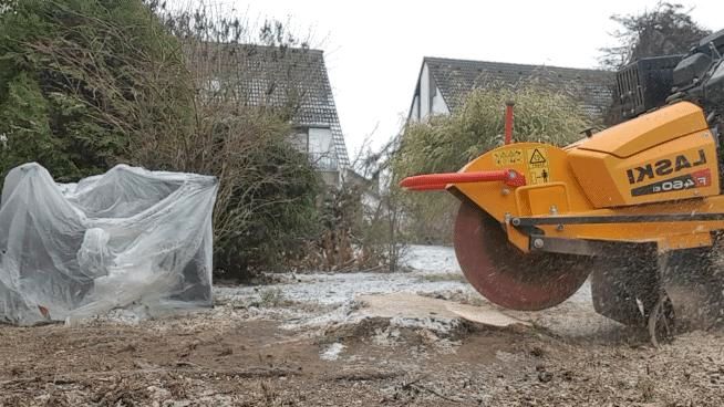 Baumstumpffräsung in Kerken