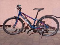 Fahrrad Stevens Kid Sport 24“, guter gebrauchter Zustand Dresden - Dresden-Plauen Vorschau