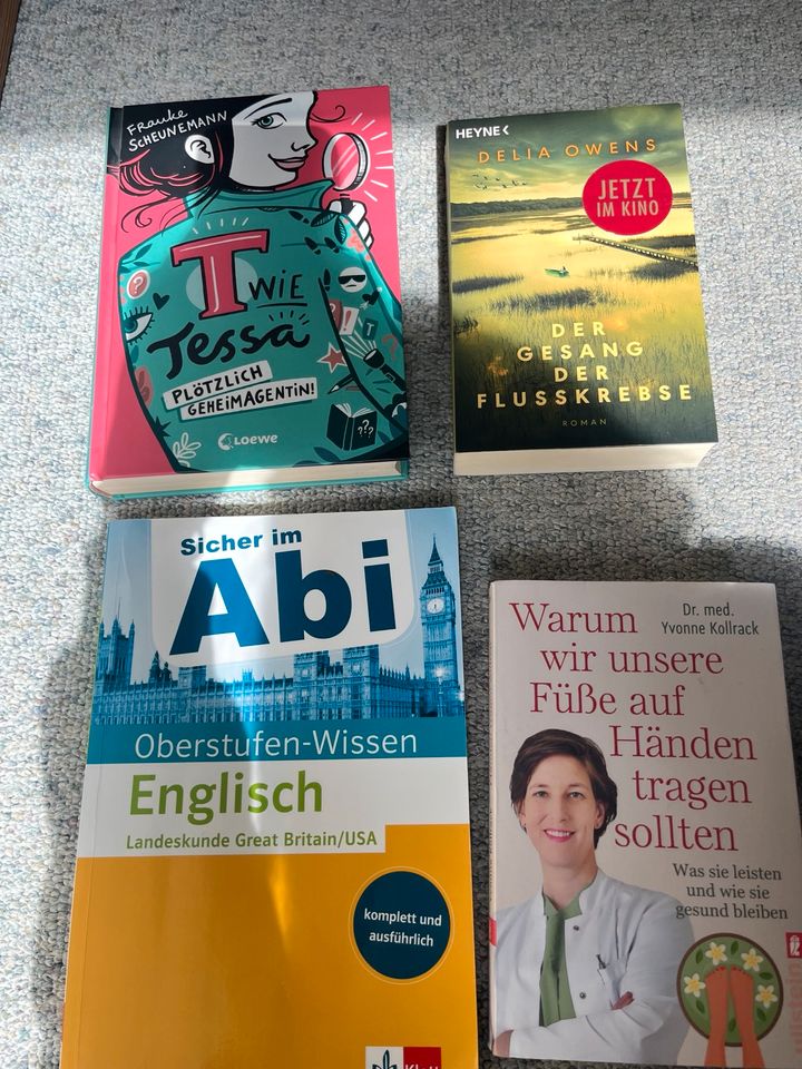 Bücherpaket, verschwinde Bücher Romane, Jugendbücher, Kinderbüche in Singen