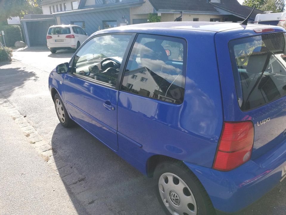 VW Lupo, 1,4 ltr, 1. Hand, blau in Oststeinbek