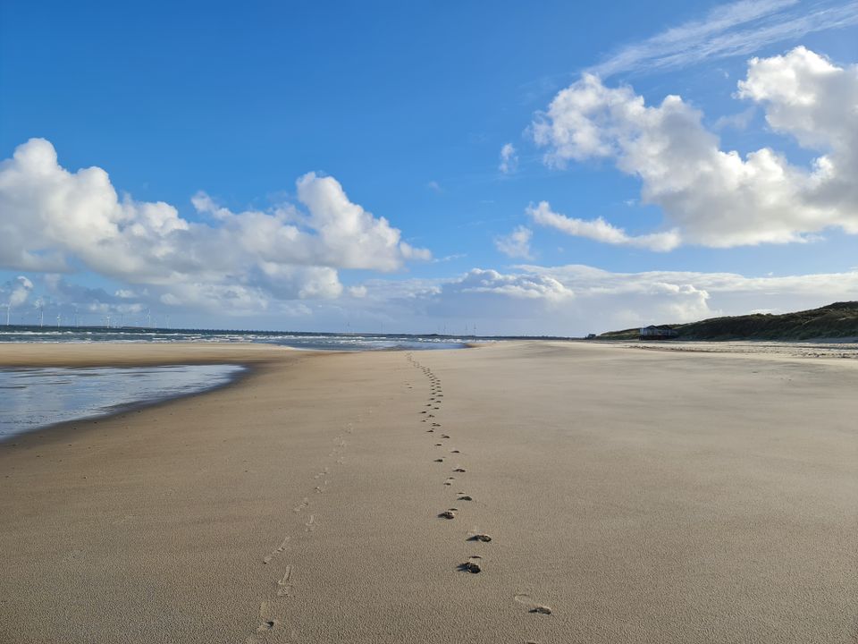 Urlaub in Zeeland (NL) am Strand & Meer Chalet für 6 Pers. Hund in Jüchen