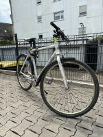 Herren Fahrrad Grecos Nordrhein-Westfalen - Bad Lippspringe Vorschau