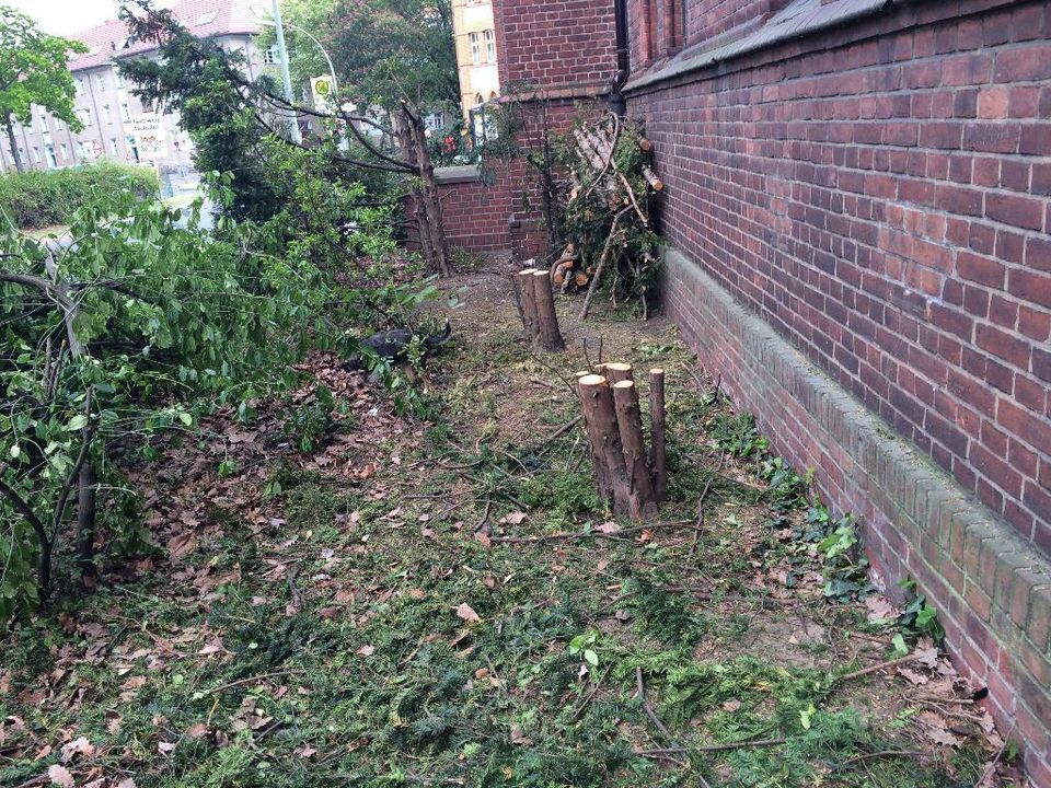 Biete Hilfe im Garten beim Laub fegen , saugen pusten , Straße in