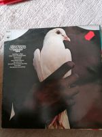 Vinyl 24 LPs Rock und Pop Bayern - Haag in Oberbayern Vorschau