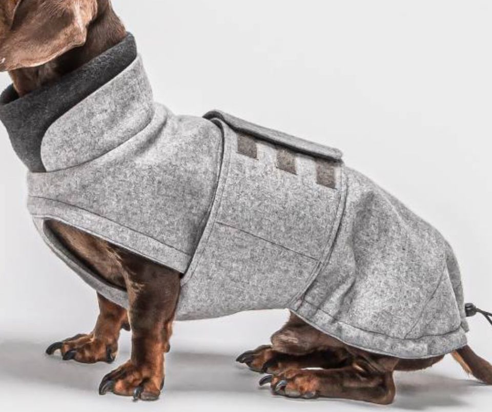 Hundemantel Dackel Brooklyn Flanell Grey in Dresden