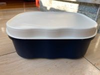 Tupperware Laibwächter Junge Welle Brotkasten blau Niedersachsen - Osnabrück Vorschau