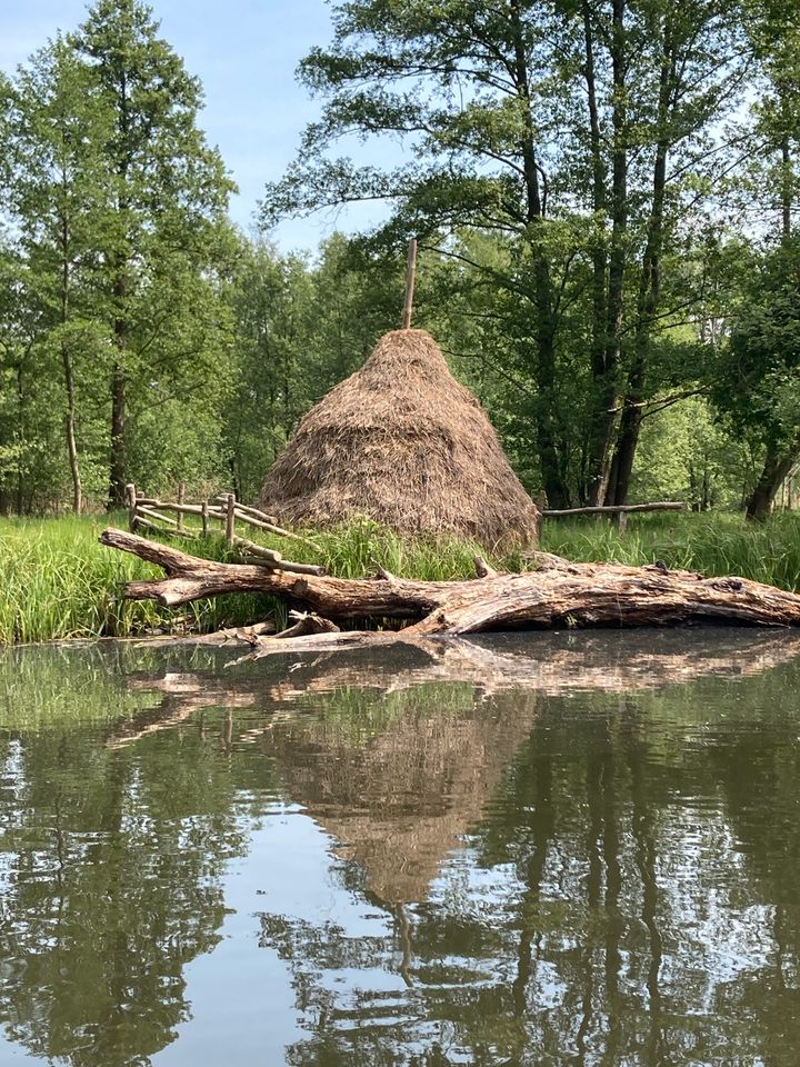 Spreewald Kahnfahrt in Lübben