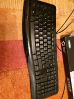 Keyboard 5€ Baden-Württemberg - Rheinstetten Vorschau