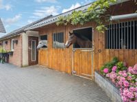 Das Leben ist ein Ponyhof! Haus, Stall, Reitplatz und Koppeln im malerischen Kreis Heinsberg Nordrhein-Westfalen - Gangelt Vorschau