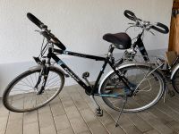 Kalkhoff Herren und Damen Fahrrad Bayern - Dingolfing Vorschau