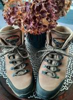 Meindl Wandernschuhe!!!!! Hessen - Michelstadt Vorschau