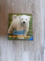 Knut- der kleine Eisbärenjunge / Ravensburger Sachsen - Nünchritz Vorschau