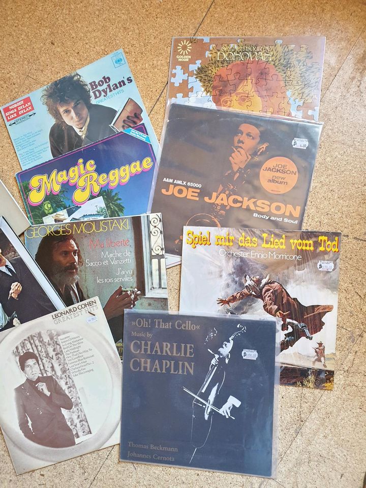 Schallplatten Sammlung in Biberach an der Riß