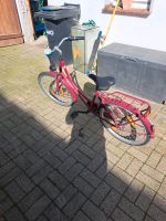 24 Zoll  Mädchen Fahrrad Niedersachsen - Twistringen Vorschau